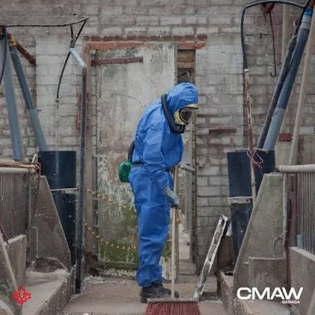 Asbestos project in Niagara